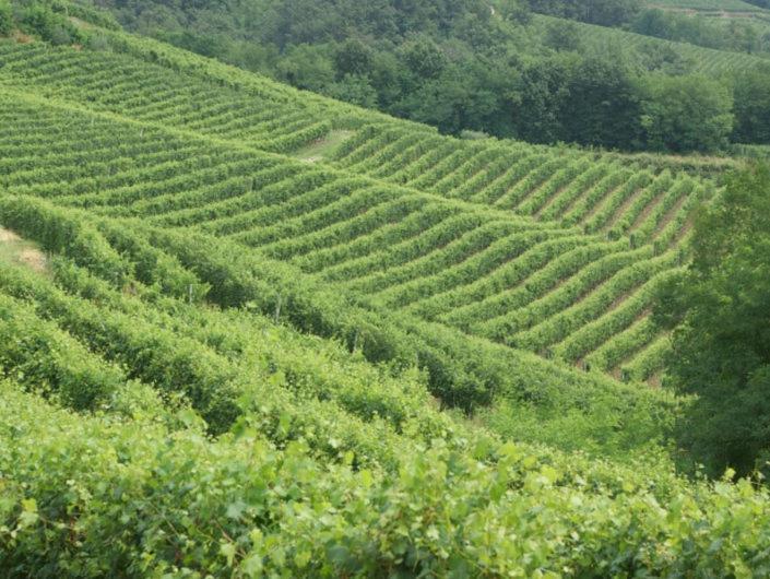 Cascina In Alto Piemonte / Piedmont Countryhouse Lozzolo Bagian luar foto